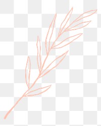 Leaf png cute pink doodle illustration with branch