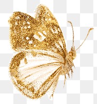 Gold butterfly png sparkly diary sticker