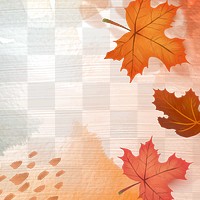 Fall season png transparent background with maple leaves