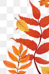 Fall leaves png background transparent