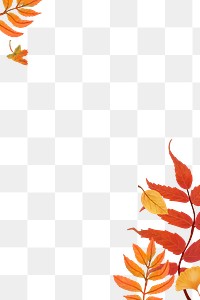 Fall leaves png background transparent