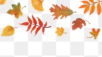 Fall leaves png background transparent