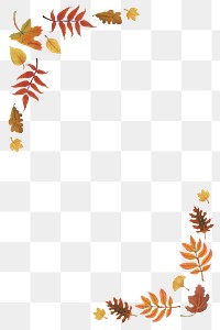 Png fall leaves frame on transparent background