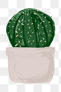 Cute potted plant element png Gymnocalycium parvulum in hand drawn style