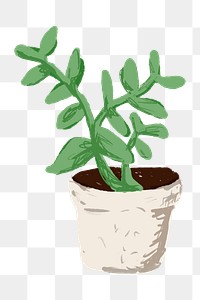 Cute potted plant element png Senecio crassissimus in hand drawn style