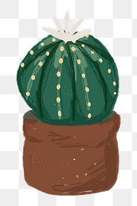 Cute potted plant element png Astrophytum asterias in hand drawn style