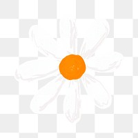 Cute daisy flower element png in transparent background hand drawn style