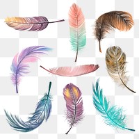 Png colorful feather design element set 