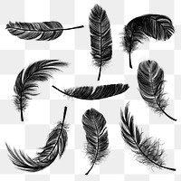 Png black feather design element set 