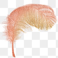 Png orange feather design element