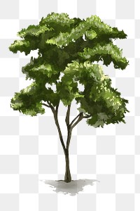 Png tree design element nature painting 