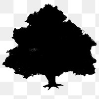 Png black tree design element Oak  tree