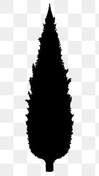 Png black tree design element Conical tree