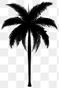 Png black tree design element Palm tree