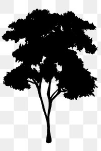 Png black tree design element