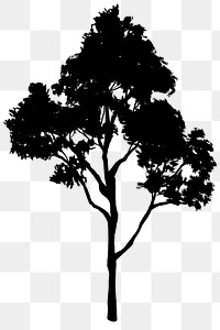 Png black tree design element