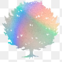 Png gradient tree design element Yew  tree