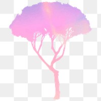 Png gradient tree design element Pinus Pinea