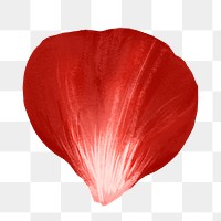 Png flower petals design element red rose 