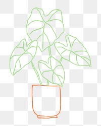 Potted plant png houseplant doodle
