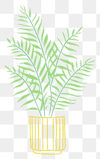 Potted plant png houseplant golden cane palm