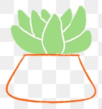 Succulent houseplant png doodle hand drawn