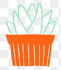 Zebra succulent png doodle hand drawn