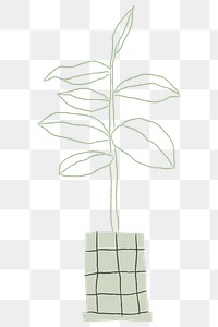 Potted rubber plant png houseplant doodle