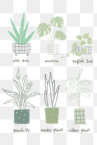 Green png houseplant doodle with names set