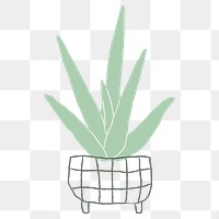 Aloe vera png houseplant succulent doodle