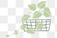 Potted houseplant png simple doodle style