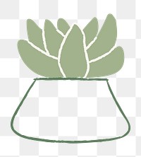 Green png houseplant zebra succulent doodle