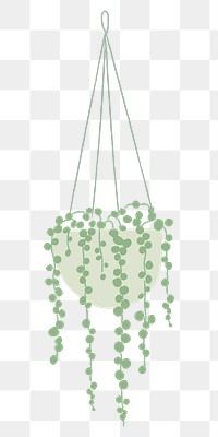 Hanging plant png String of Pearls doodle