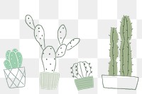 Houseplant cactus png background in simple doodle style