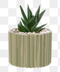 Houseplant PNG, indoor aloe vera plant