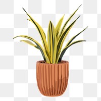 Houseplant PNG sticker, indoor snake plant