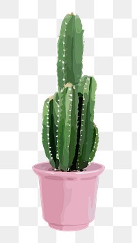 Cactus plant PNG clipart on transparent background