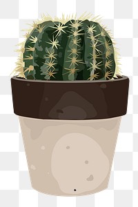 Cactus plant PNG sticker on transparent background