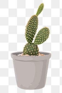 Cactus plant PNG sticker transparent background