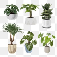 Houseplant PNG clip art set, home decoration