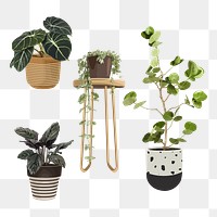 Houseplant PNG clip art set, home decoration