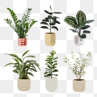 Plant PNG clip art set, home decoration