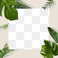 Leaf frame PNG clipart border, green Monstera plant transparent background