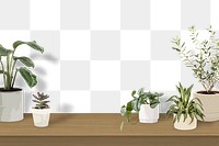 Houseplant PNG background transparent wall