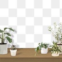 Houseplant PNG background transparent wall