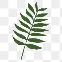 PNG gern leaf sticker plant botanical illustration