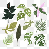 PNG tropical leaf sticker plant botanical illustration set