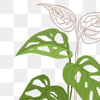 PNG monstera plant sticker illustration