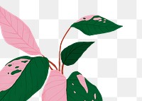 PNG plant pink princess philodendron sticker botanical illustration