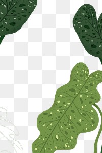 PNG philodendron plant border sticker botanical illustration